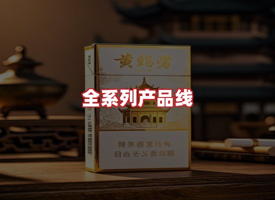 专业团队